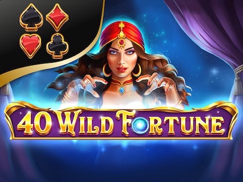 Wild Fortune thumbnail